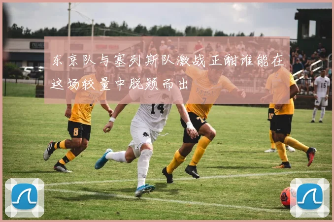 东京队与塞列斯队激战正酣谁能在这场较量中脱颖而出