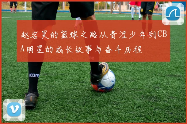 赵岩昊的篮球之路从青涩少年到CBA明星的成长故事与奋斗历程
