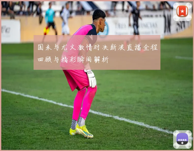 国米与尤文激情对决新浪直播全程回顾与精彩瞬间解析